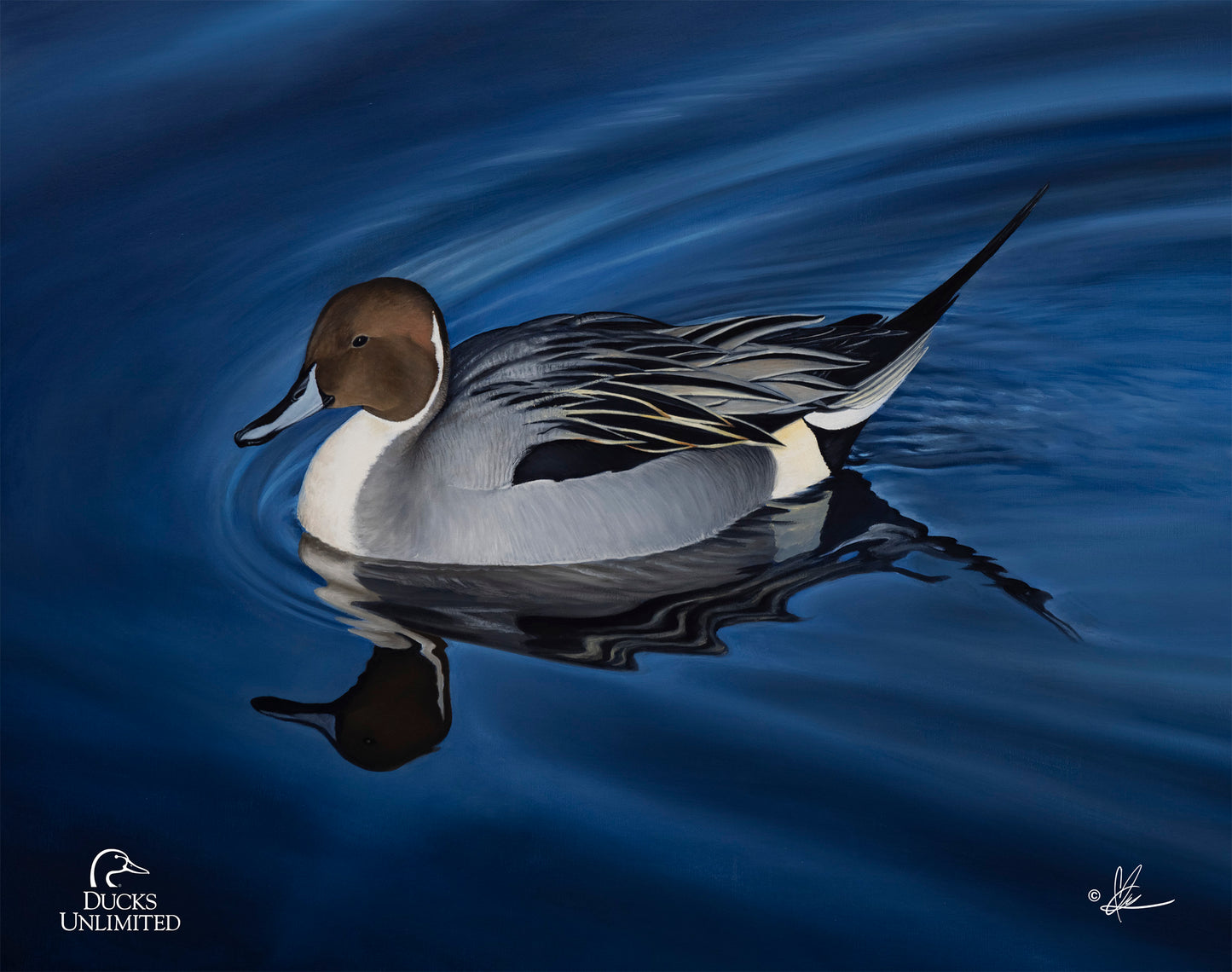 Calm Blue Water Art Prints - Official Ducks Unlimited Art