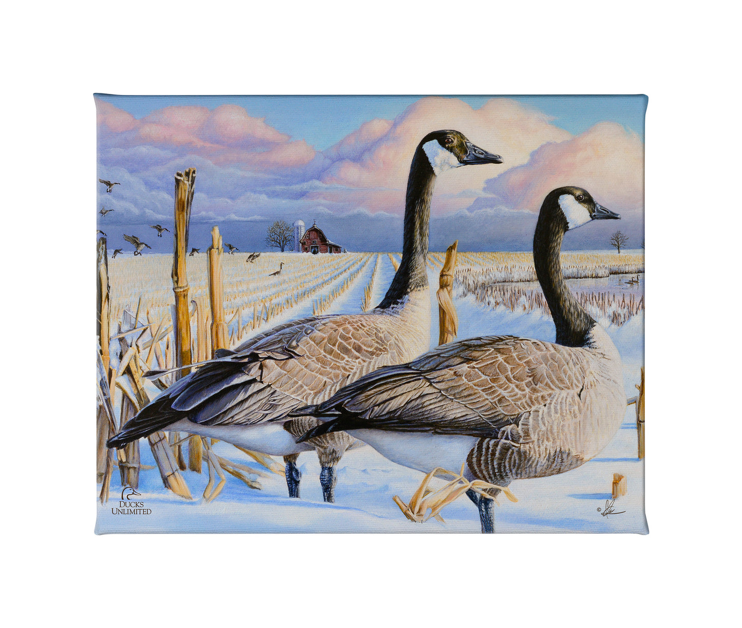 Canada Geese Gallery Wrapped Canvas - Official Ducks Unlimited Art
