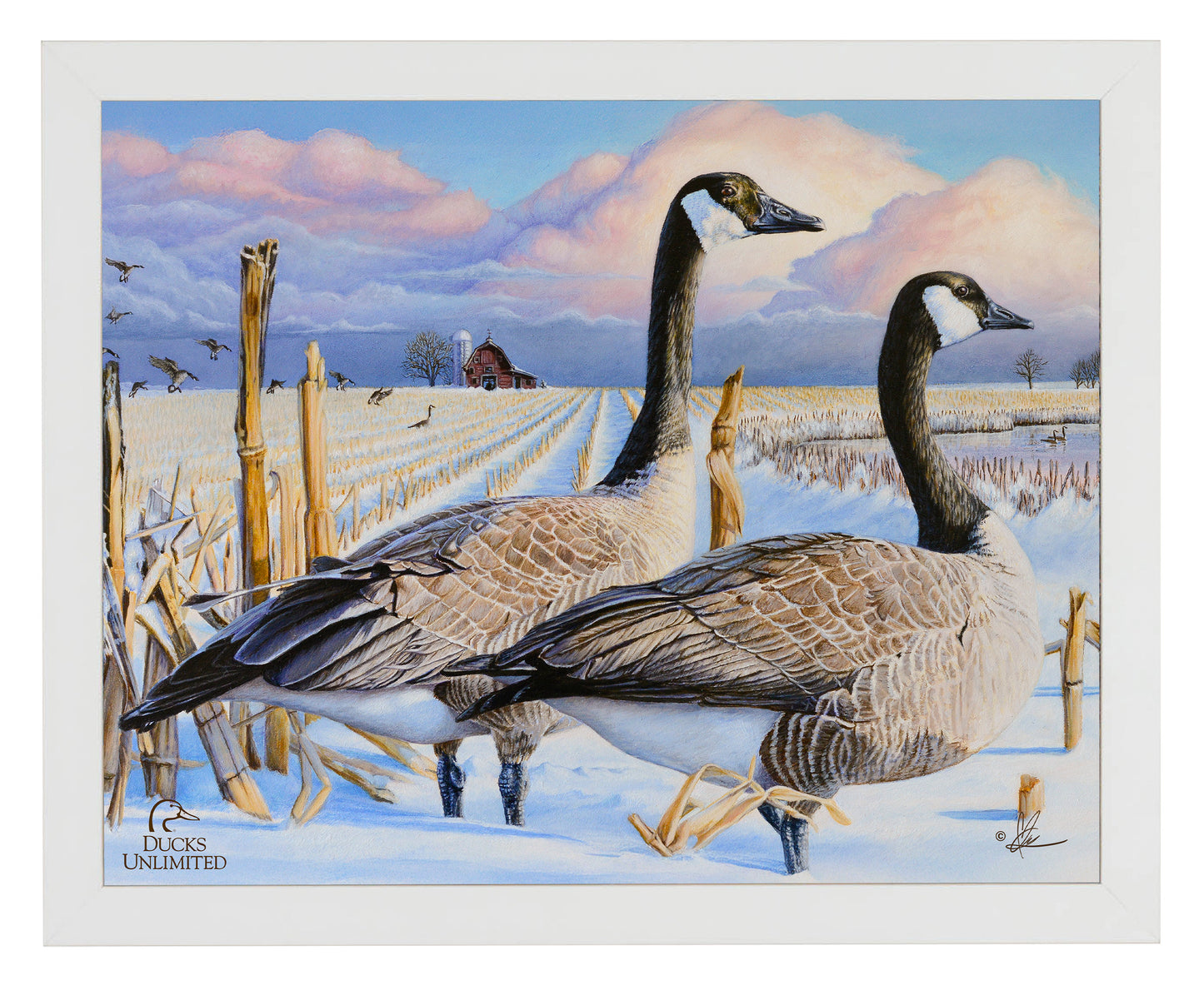 Canada Geese Art Prints - Official Ducks Unlimited Art