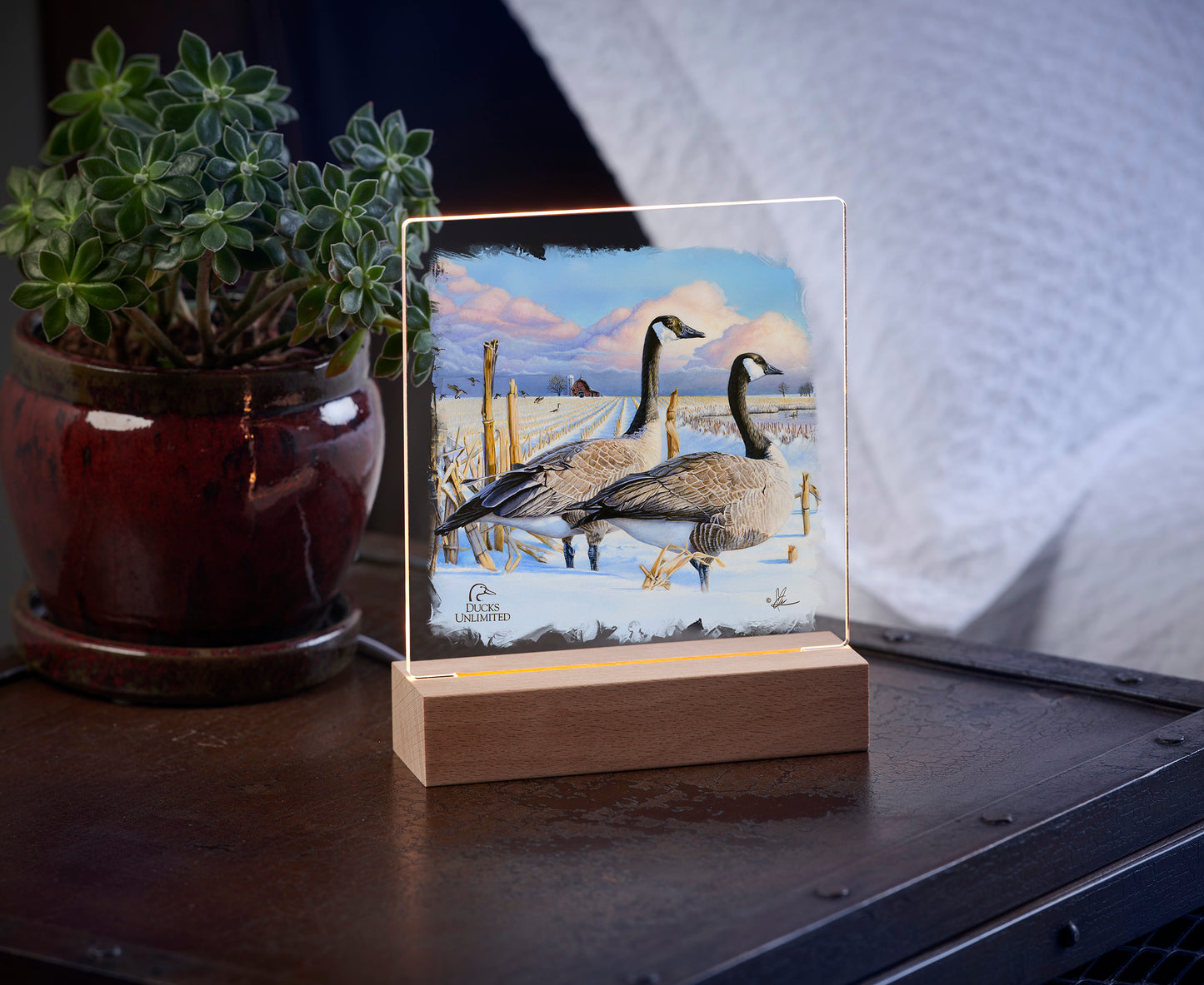Canada Geese 6.37" x 6" Acrylic Nightlight - Official Ducks Unlimited Art