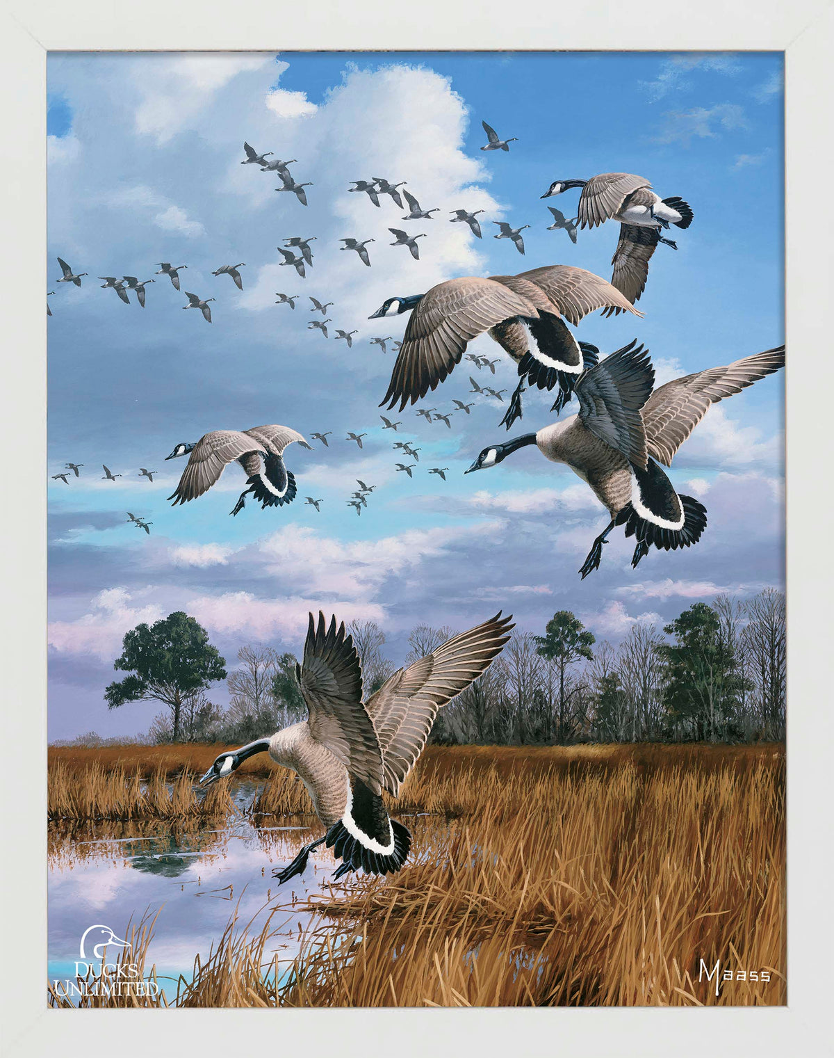 Canada Geese- Atlantic Flyway Art Prints - Official Ducks Unlimited Art