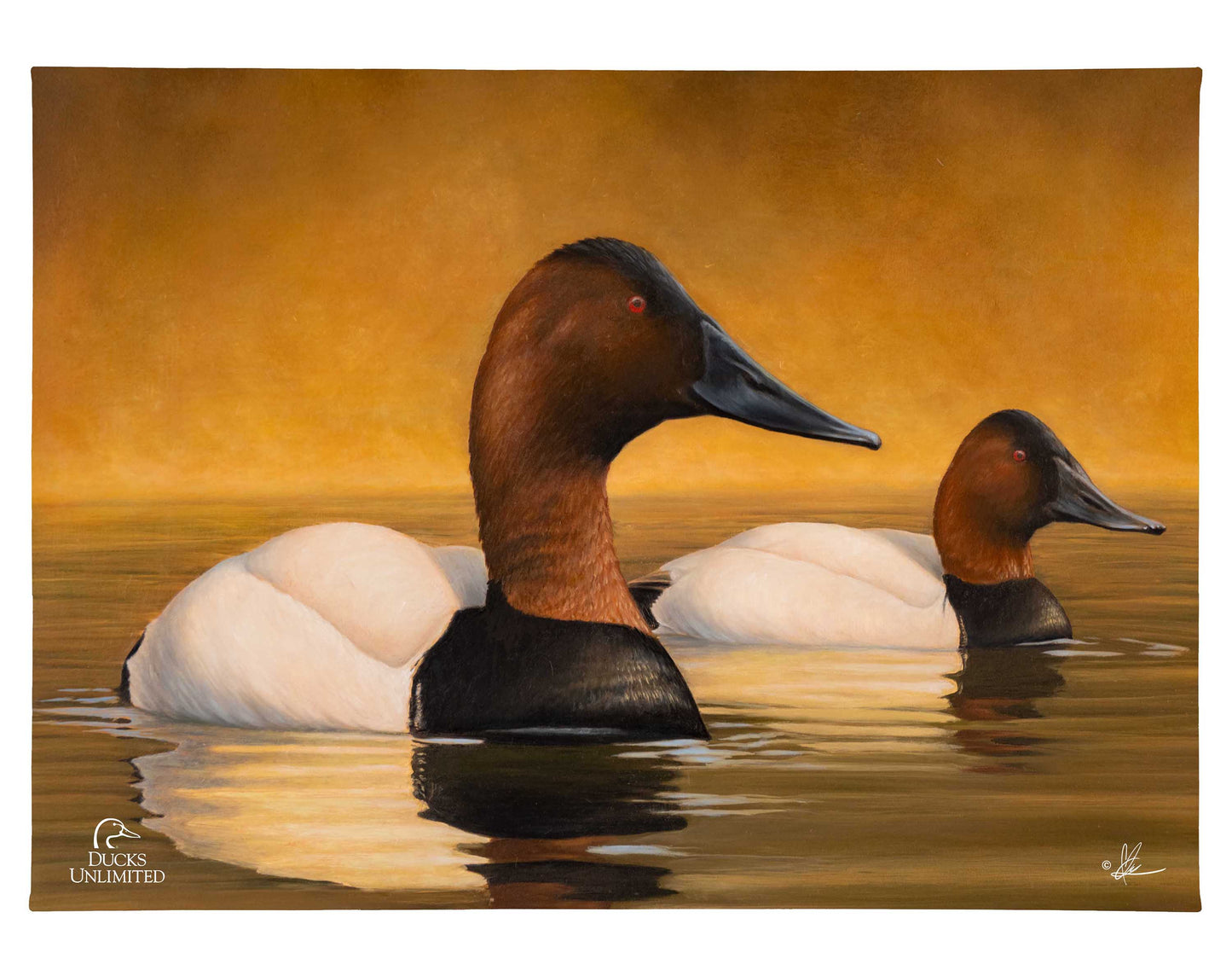Canvas Back Gallery Wrapped Canvas - Official Ducks Unlimited Art