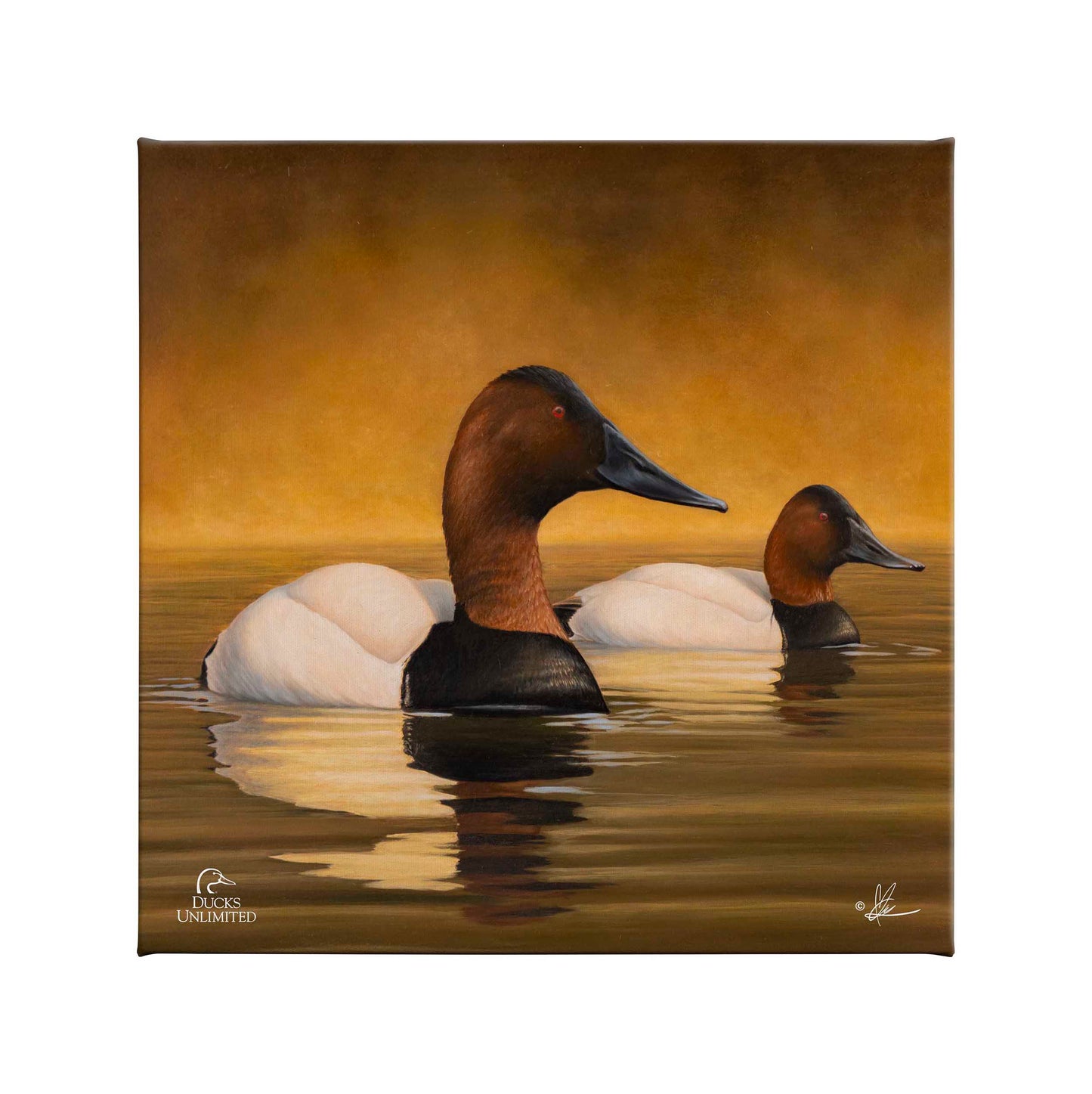 Canvas Back Gallery Wrapped Canvas - Official Ducks Unlimited Art