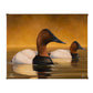 Canvas Back Gallery Wrapped Canvas - Official Ducks Unlimited Art