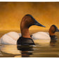 Canvas Back Gallery Wrapped Canvas - Official Ducks Unlimited Art
