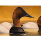 Canvas Back Gallery Wrapped Canvas - Official Ducks Unlimited Art