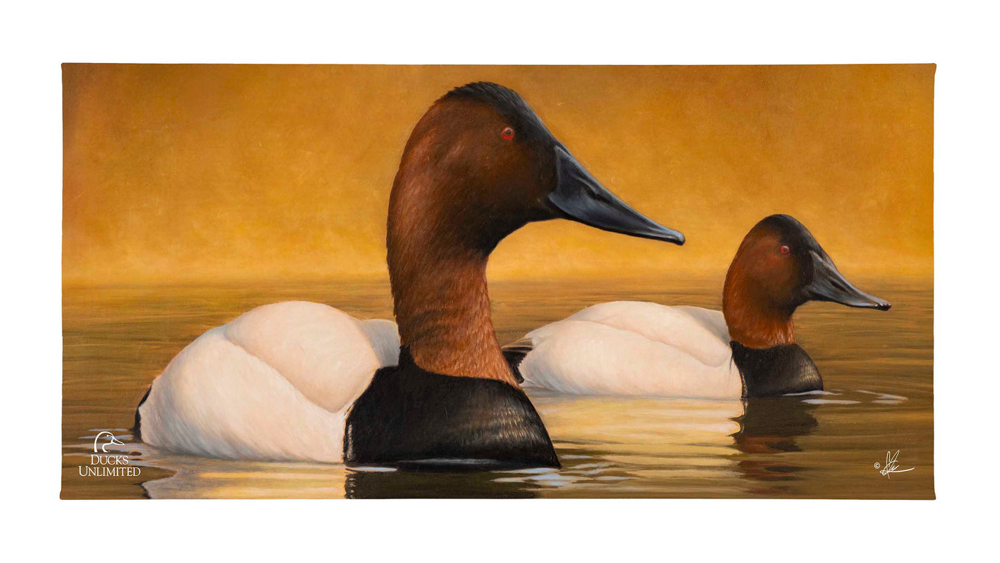 Canvas Back Gallery Wrapped Canvas - Official Ducks Unlimited Art