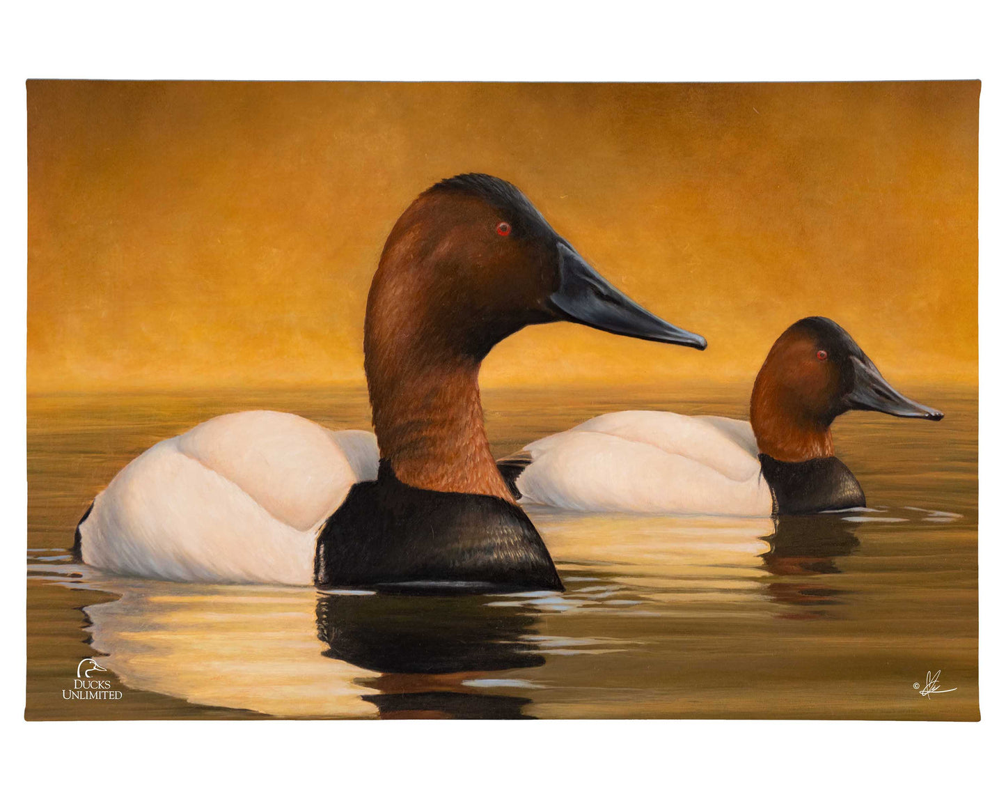 Canvas Back Gallery Wrapped Canvas - Official Ducks Unlimited Art