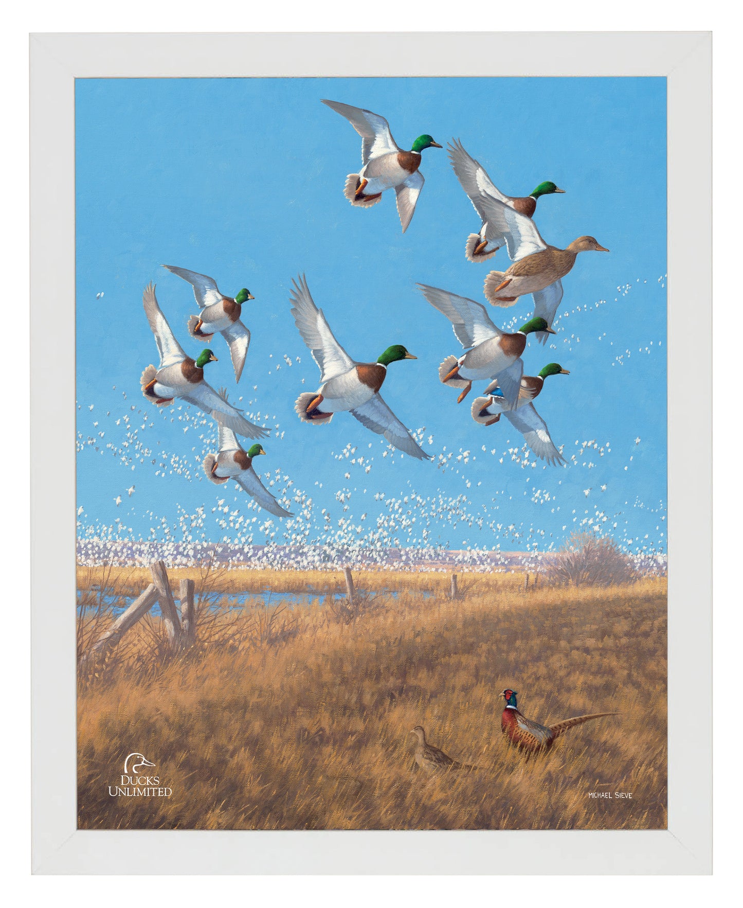 Courtship Flight Mallard Art Prints - Official Ducks Unlimited Art