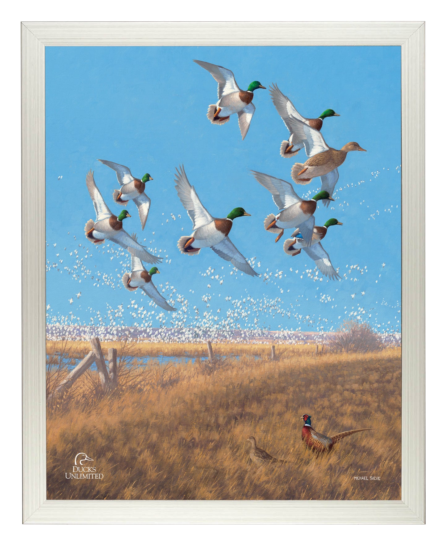 Courtship Flight Mallard Art Prints - Official Ducks Unlimited Art