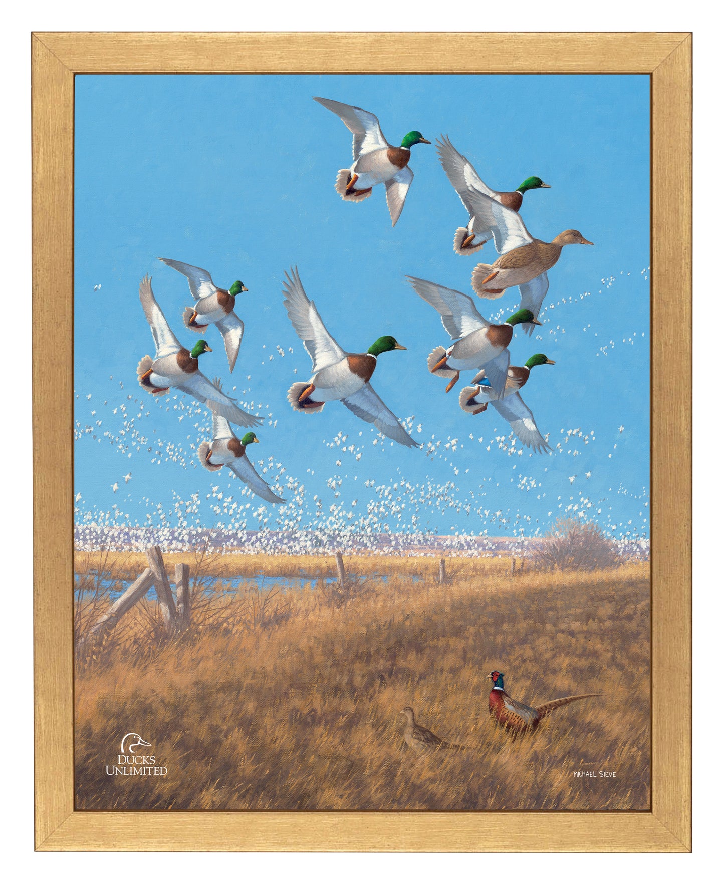 Courtship Flight Mallard Art Prints - Official Ducks Unlimited Art