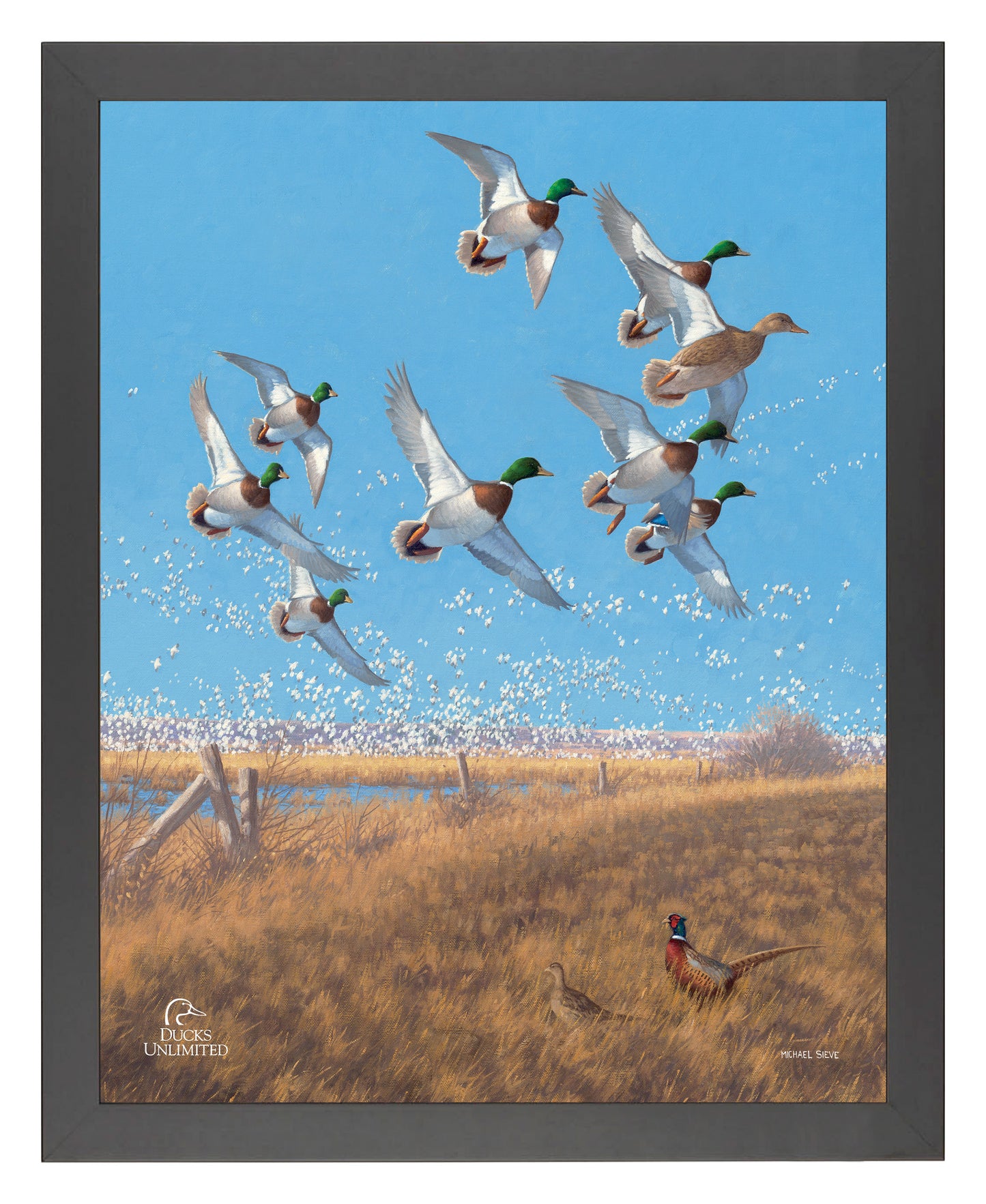 Courtship Flight Mallard Art Prints - Official Ducks Unlimited Art