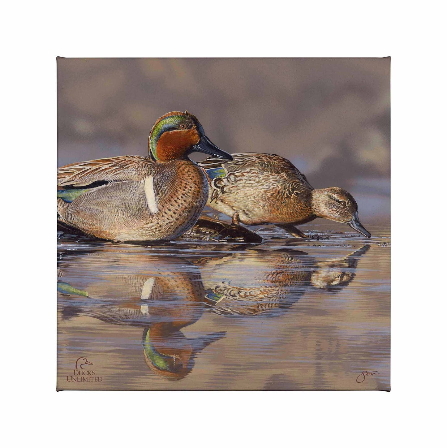 Dabbling Greens Gallery Wrapped Canvas - Official Ducks Unlimited Art