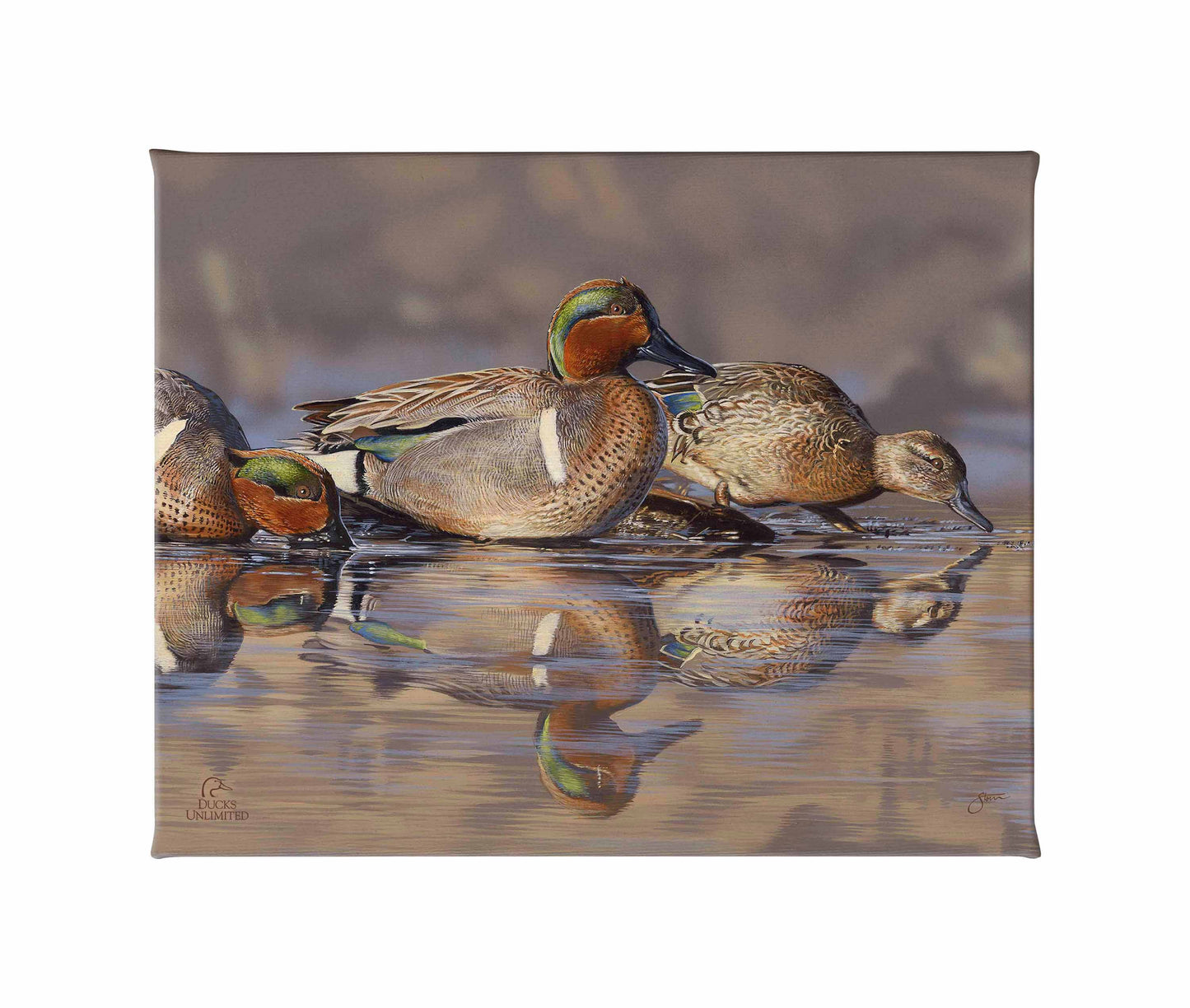 Dabbling Greens Gallery Wrapped Canvas - Official Ducks Unlimited Art