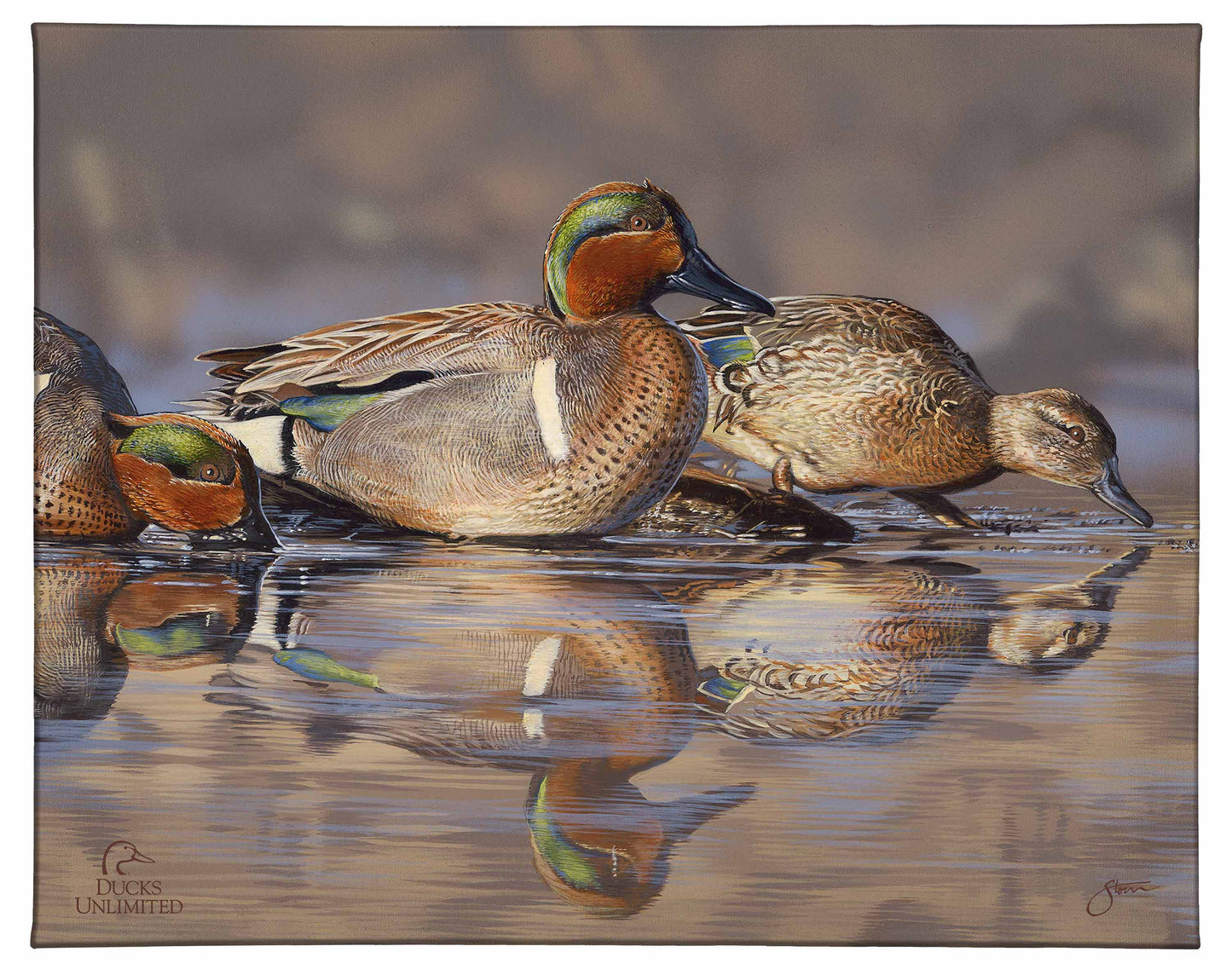 Dabbling Greens Gallery Wrapped Canvas - Official Ducks Unlimited Art