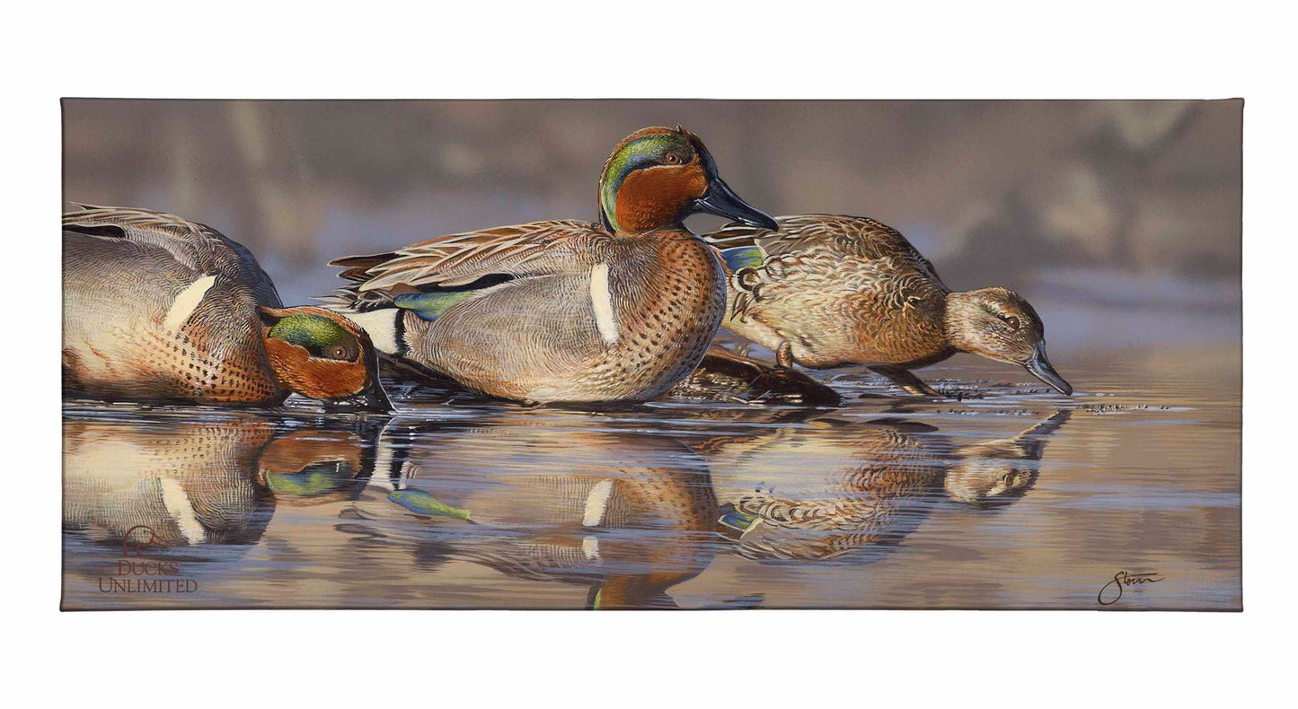 Dabbling Greens Gallery Wrapped Canvas - Official Ducks Unlimited Art