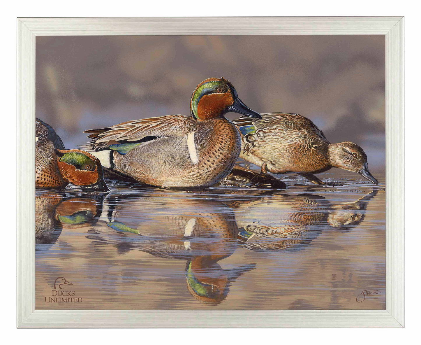 Dabbling Greens Art Prints - Official Ducks Unlimited Art