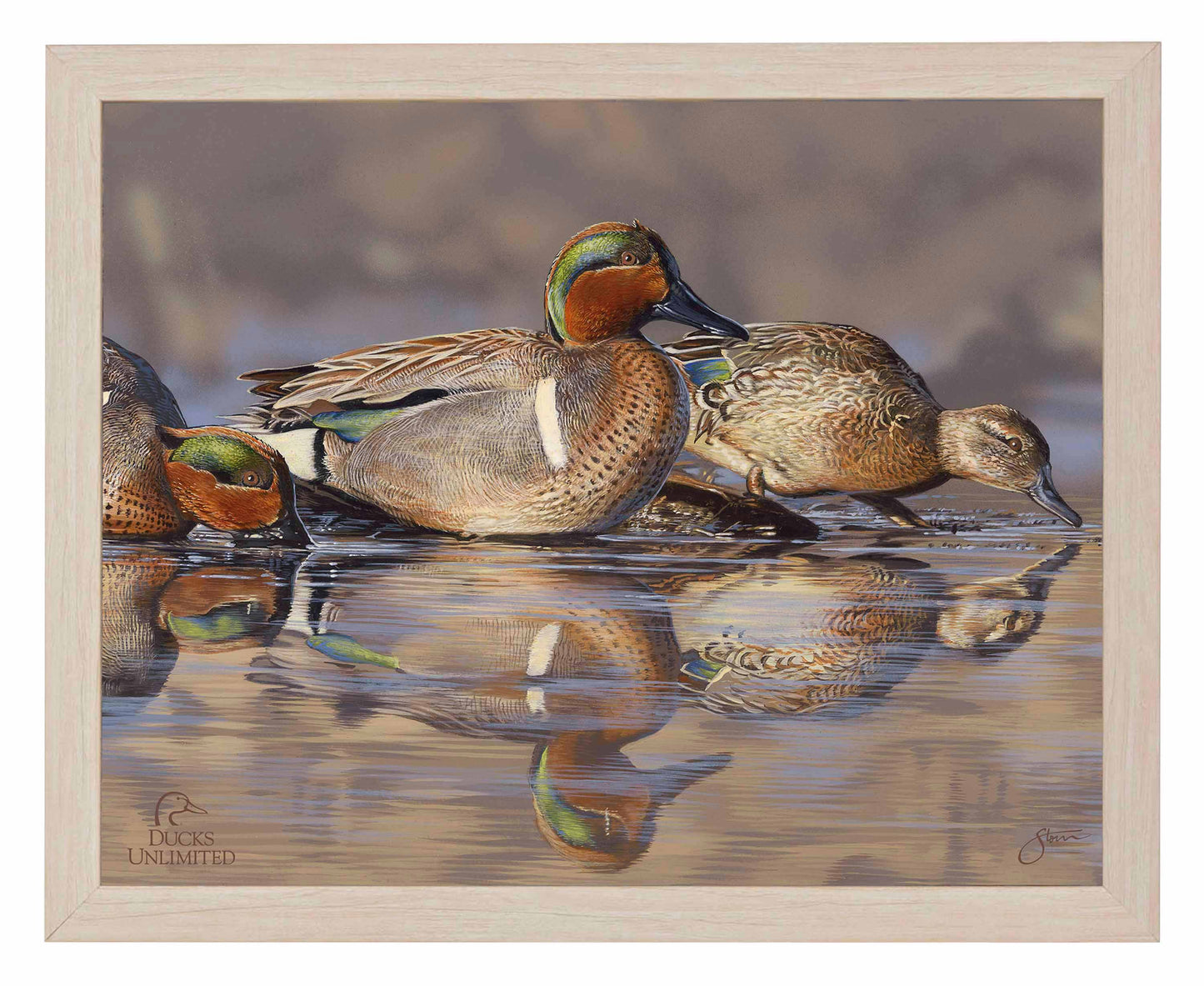 Dabbling Greens Art Prints - Official Ducks Unlimited Art