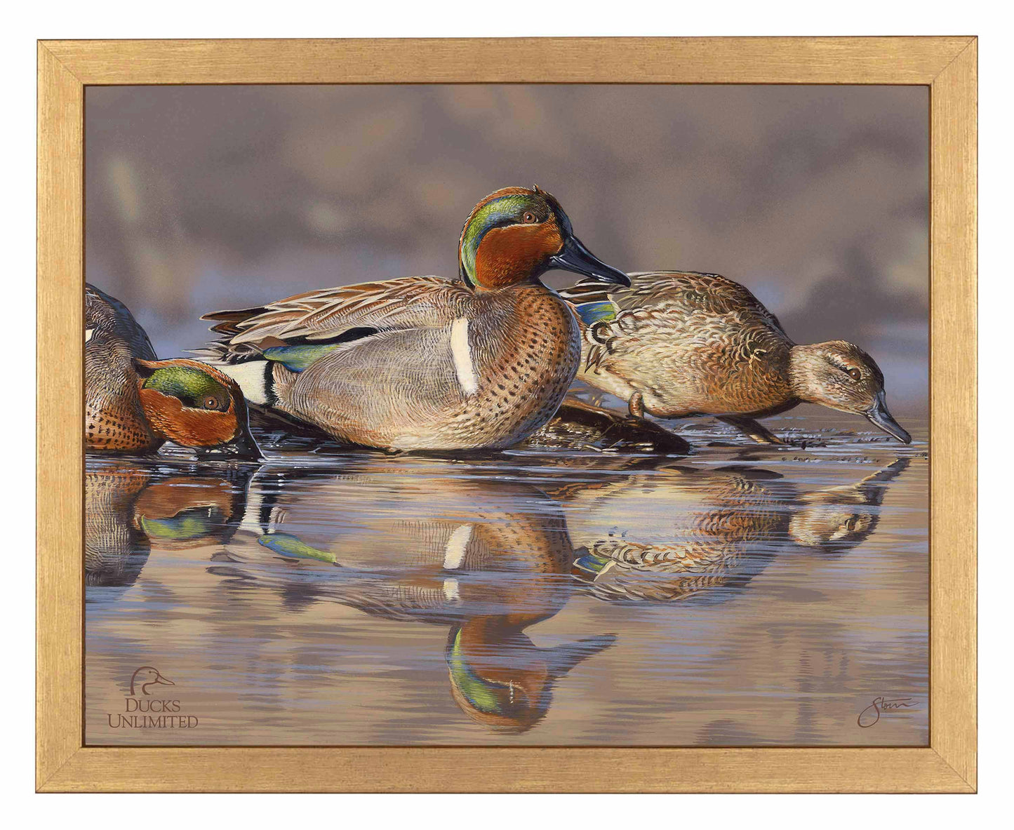 Dabbling Greens Art Prints - Official Ducks Unlimited Art