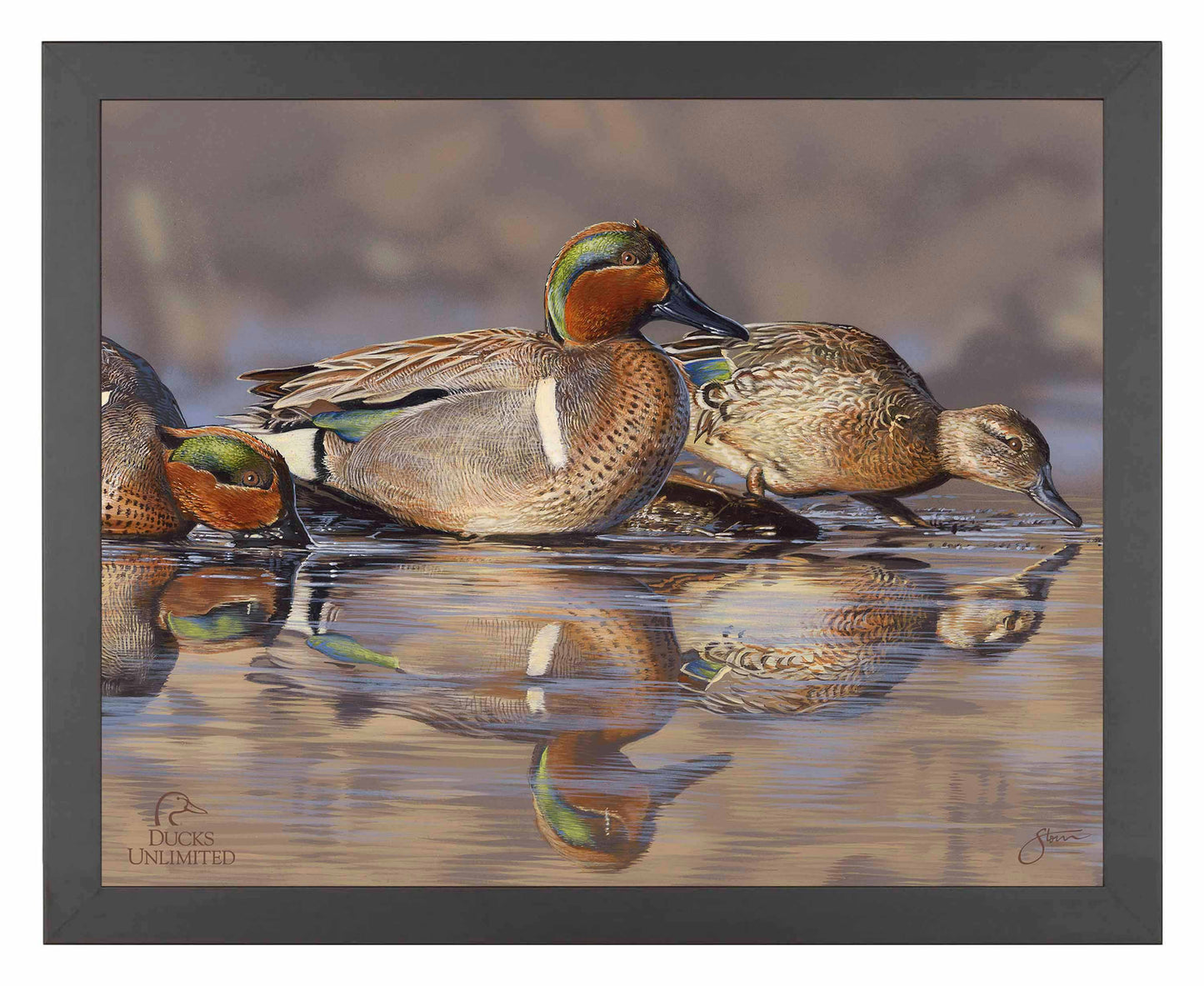 Dabbling Greens Art Prints - Official Ducks Unlimited Art