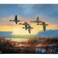 Dawn Patrol - Pintails Gallery Wrapped Canvas - Official Duck Unlimited Art