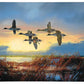 Dawn Patrol - Pintails Gallery Wrapped Canvas - Official Duck Unlimited Art