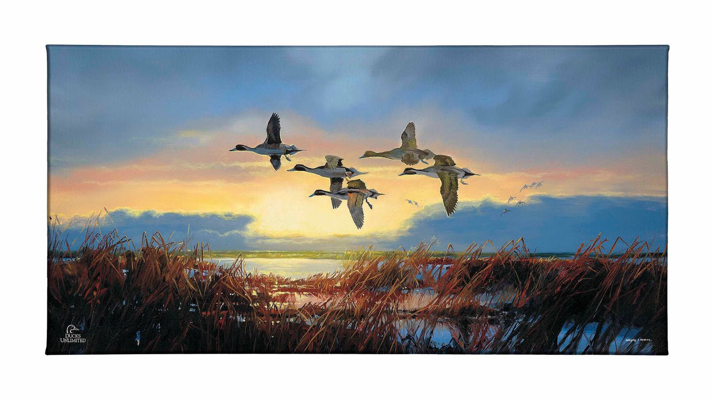 Dawn Patrol - Pintails Gallery Wrapped Canvas - Official Duck Unlimited Art