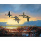 Dawn Patrol - Pintails Gallery Wrapped Canvas - Official Duck Unlimited Art