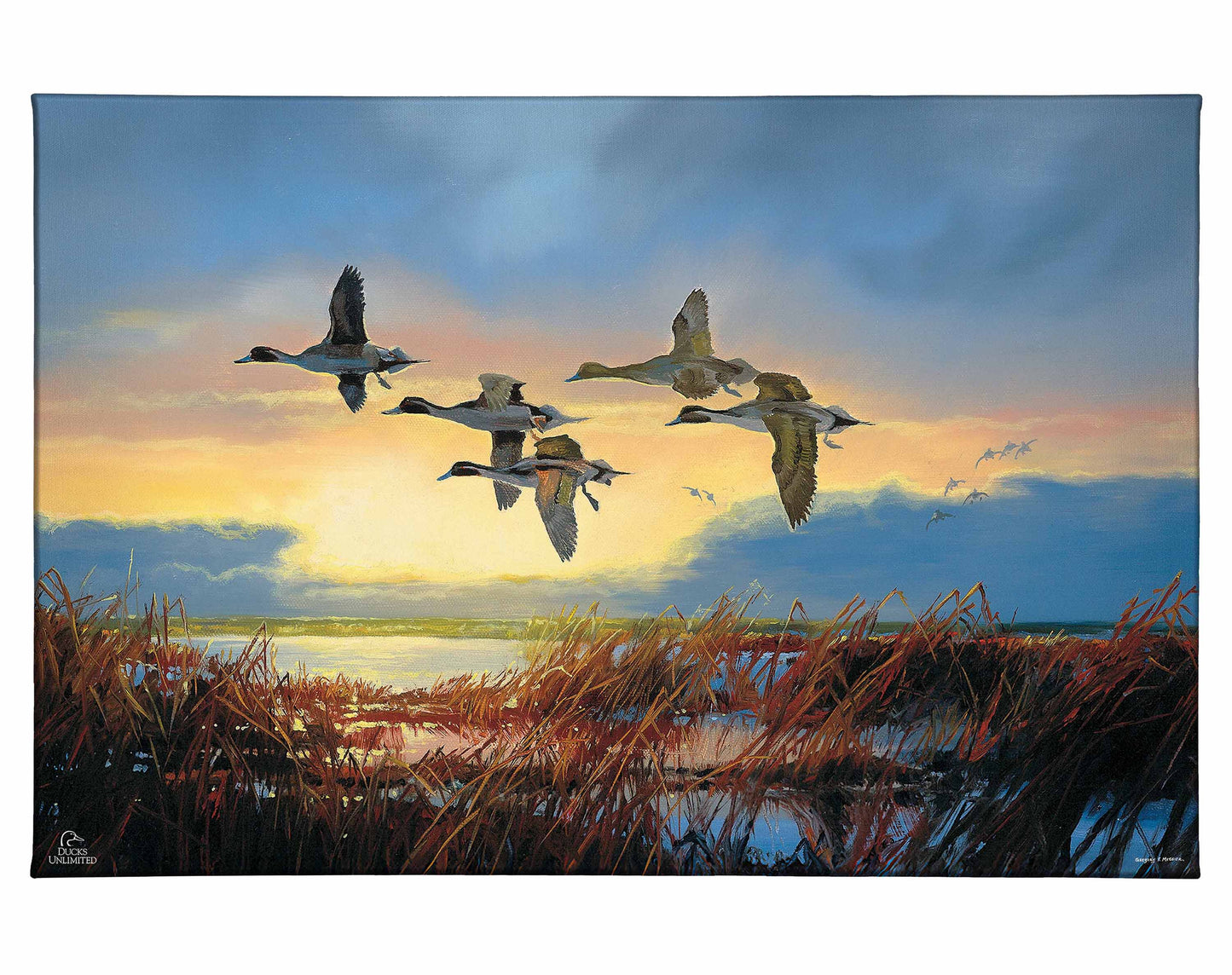 Dawn Patrol - Pintails Gallery Wrapped Canvas - Official Duck Unlimited Art