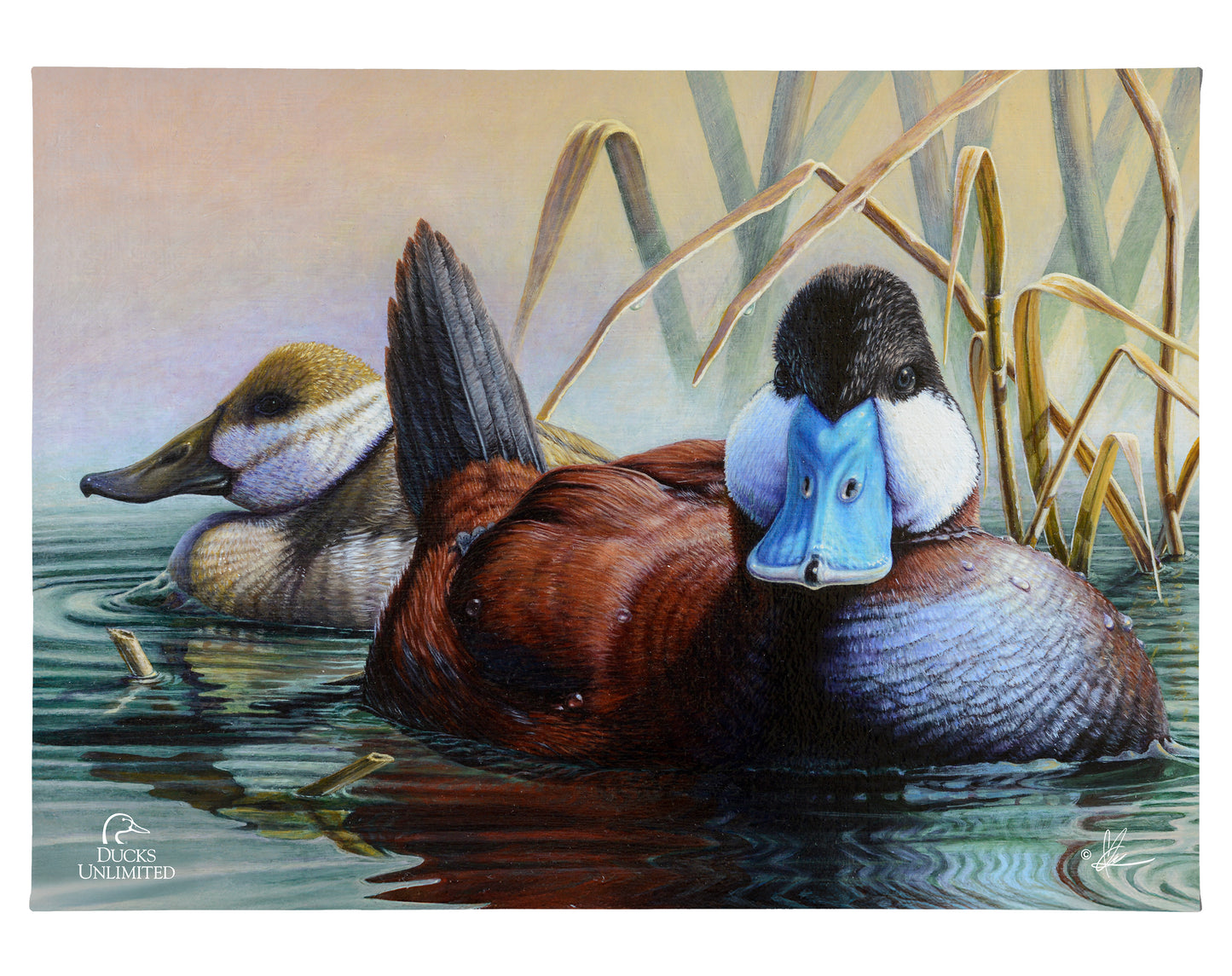 Day spring Gallery Wrapped Canvas - Official Ducks Unlimited Art