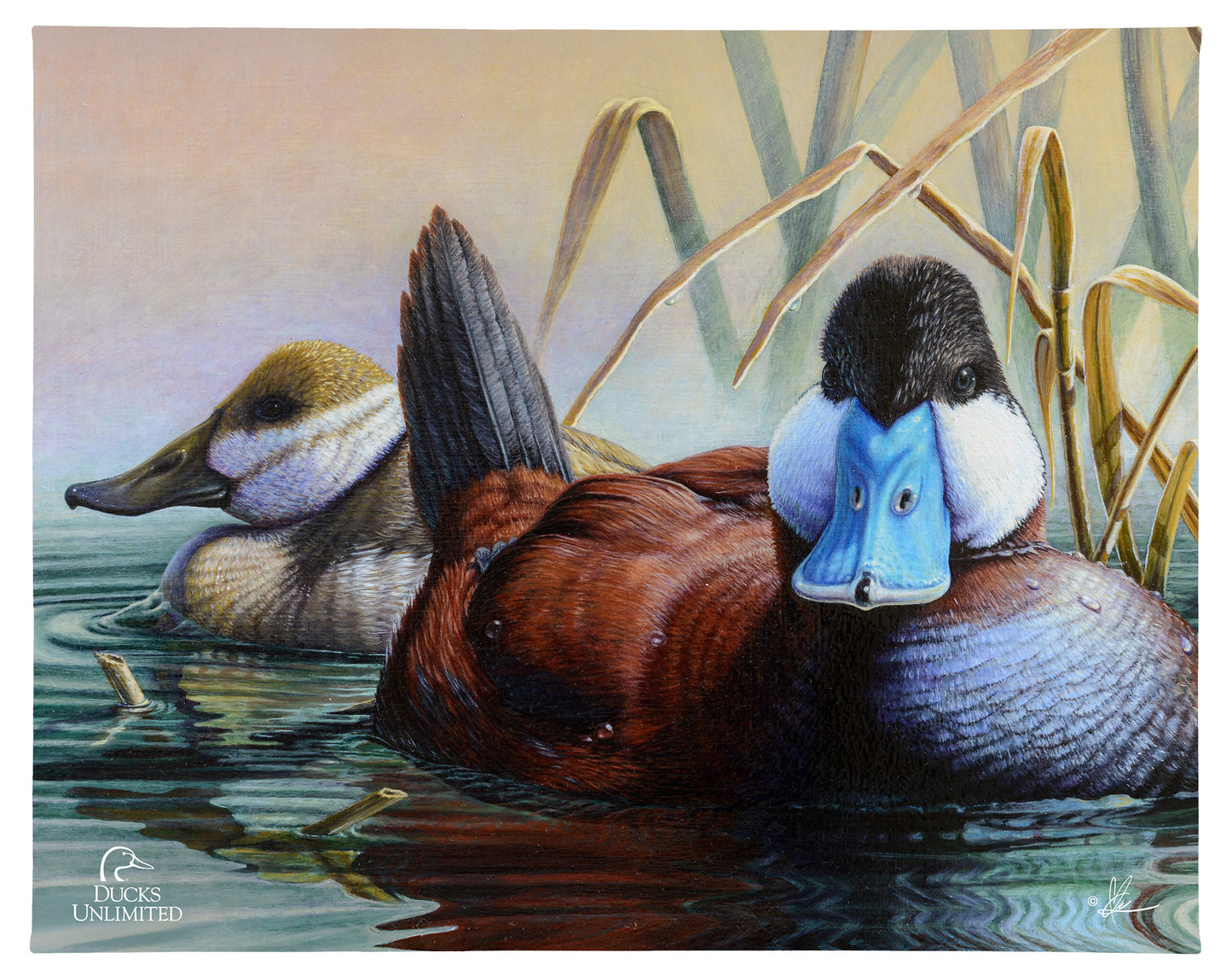 Day spring Gallery Wrapped Canvas - Official Ducks Unlimited Art
