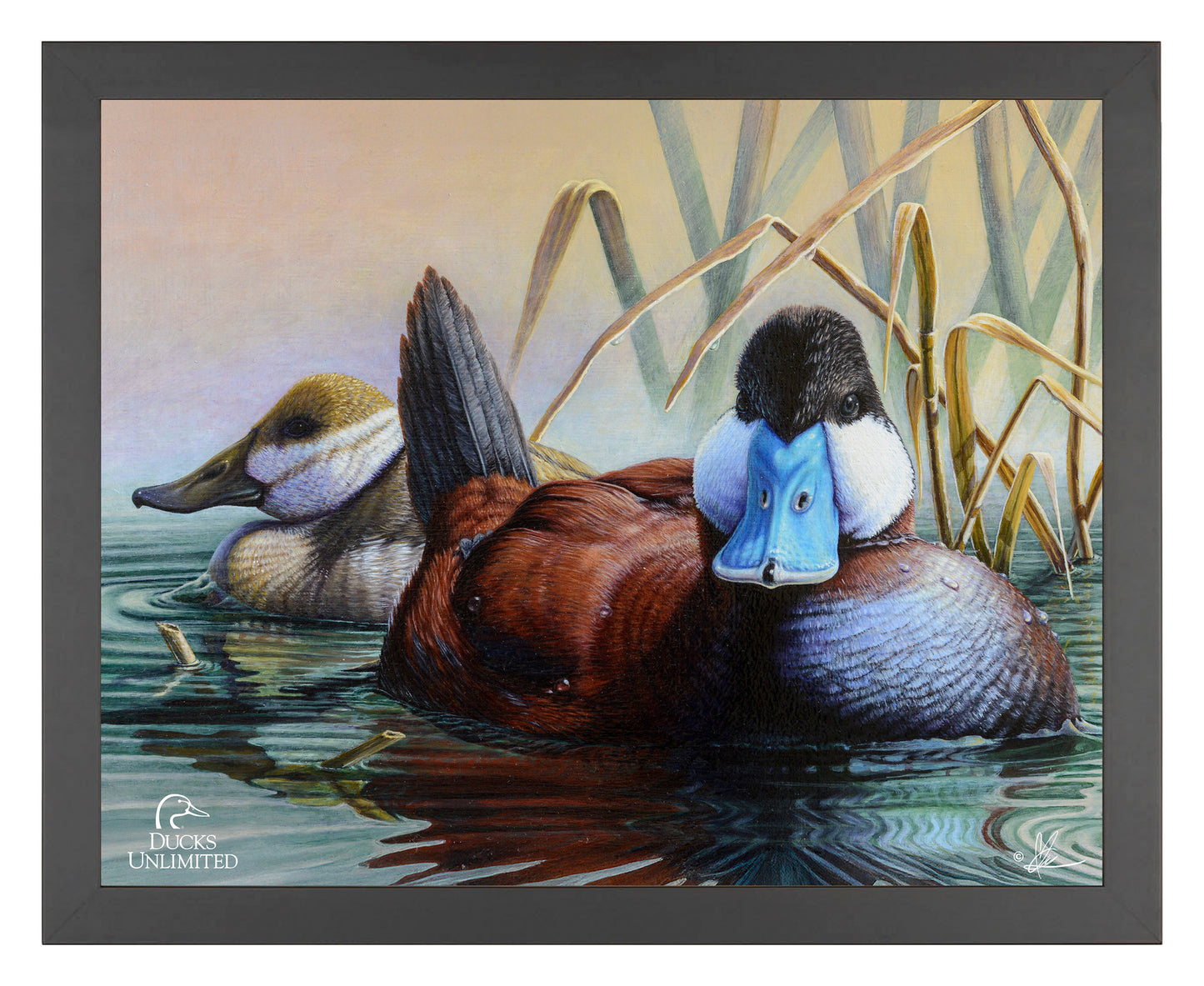 Day Spring Art Prints - Official Ducks Unlimited Art