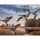 Daybreak Descent - Canada Geese Gallery Wrapped Canvas - Official Ducks Unlimited Art