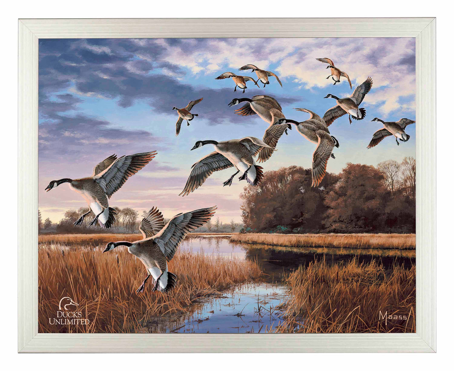 Daybreak Descent Canada Geese Art Prints - Official Ducks Unlimited Art
