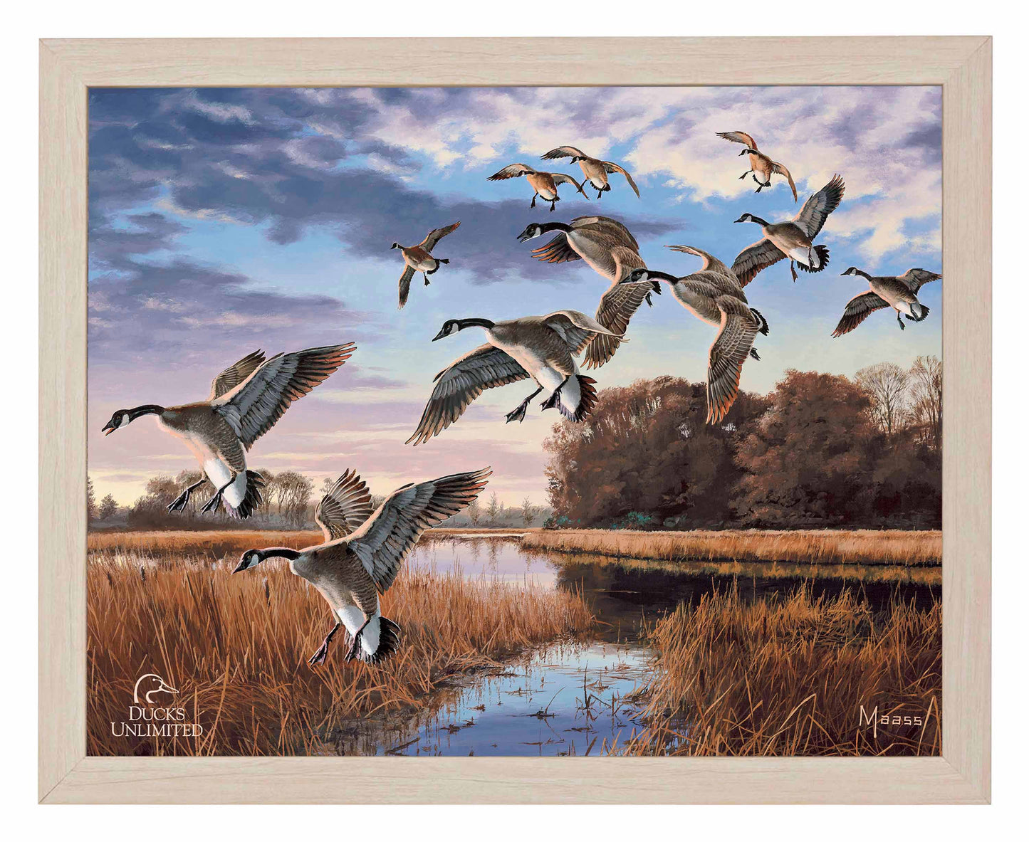 Daybreak Descent Canada Geese Art Prints - Official Ducks Unlimited Art