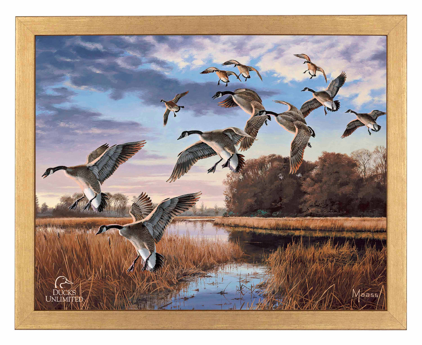Daybreak Descent Canada Geese Art Prints - Official Ducks Unlimited Art