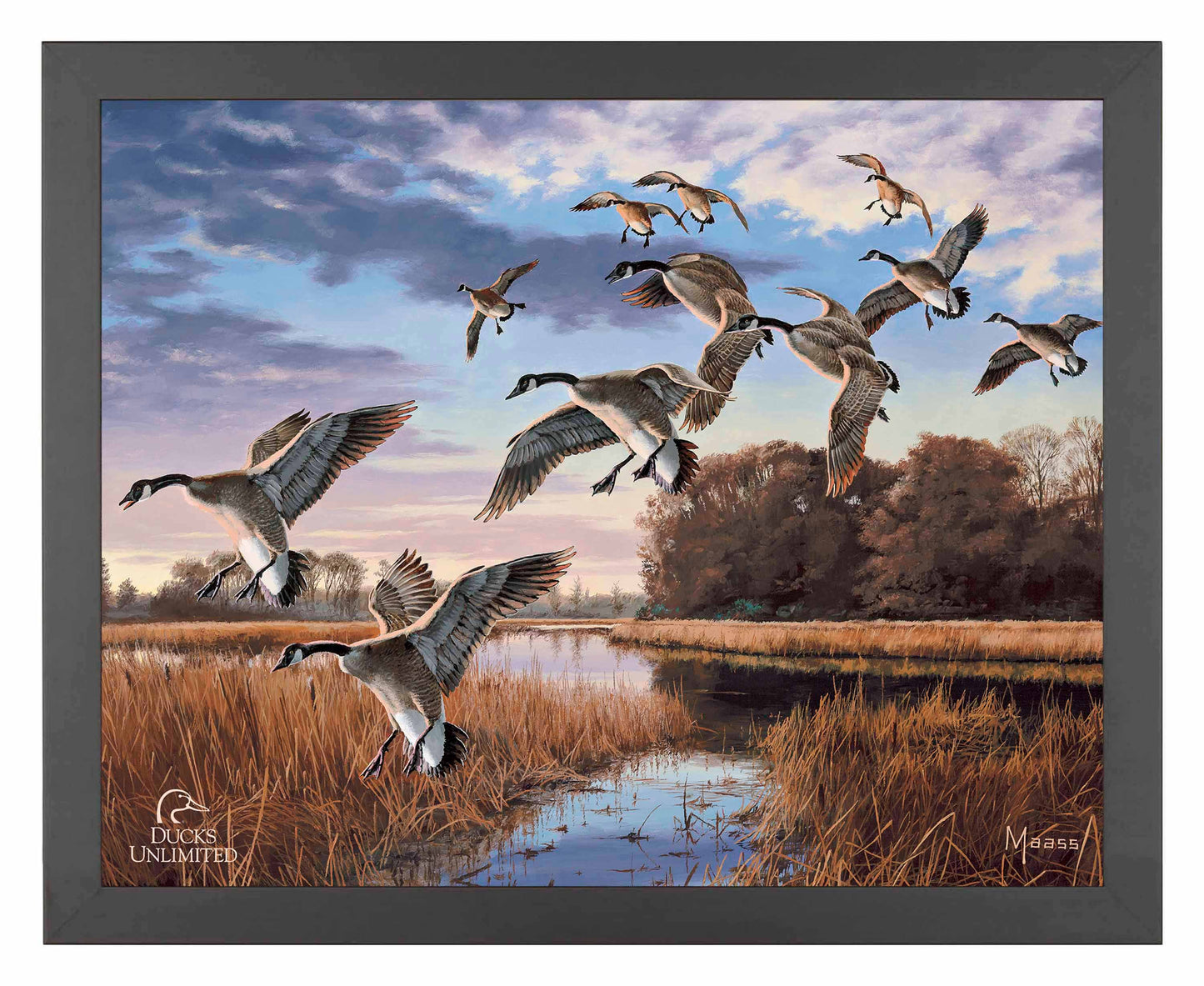 Daybreak Descent Canada Geese Art Prints - Official Ducks Unlimited Art