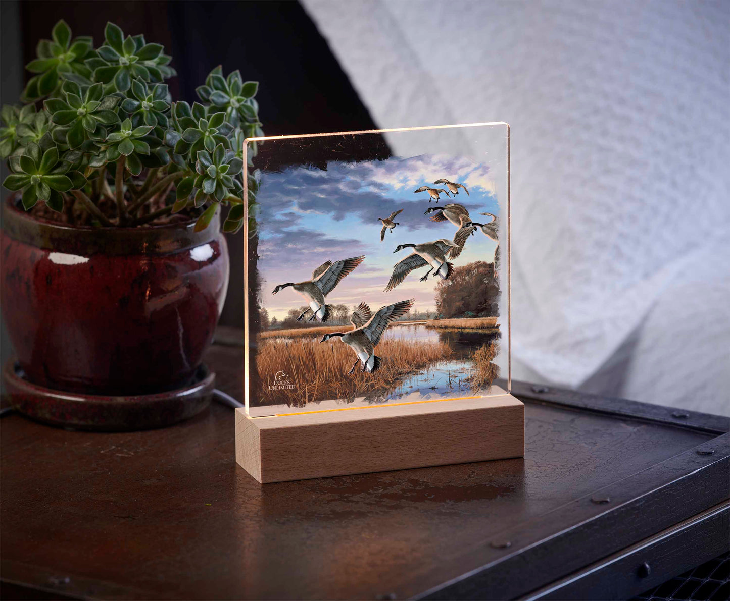 Daybreak Descent Canada Geese 6.37" x 6" Acrylic Nightlight - Official Ducks Unlimited Art