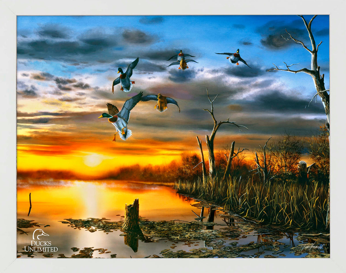 Days End Art Prints - Official Ducks Unlimited
