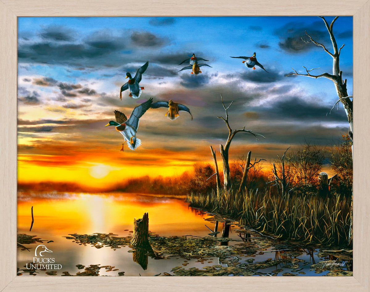 Days End Art Prints - Official Ducks Unlimited