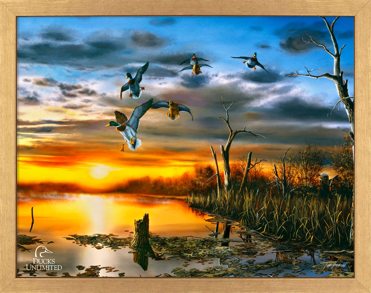 Days End Art Prints - Official Ducks Unlimited