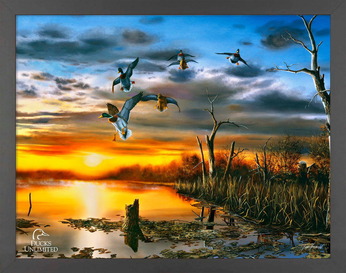 Days End Art Prints - Official Ducks Unlimited
