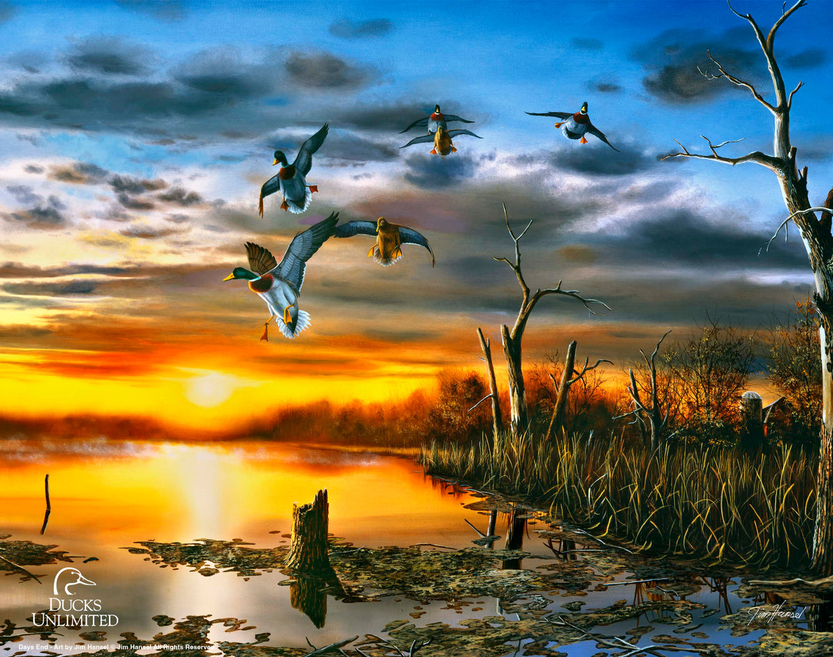 Days End Art Prints - Official Ducks Unlimited