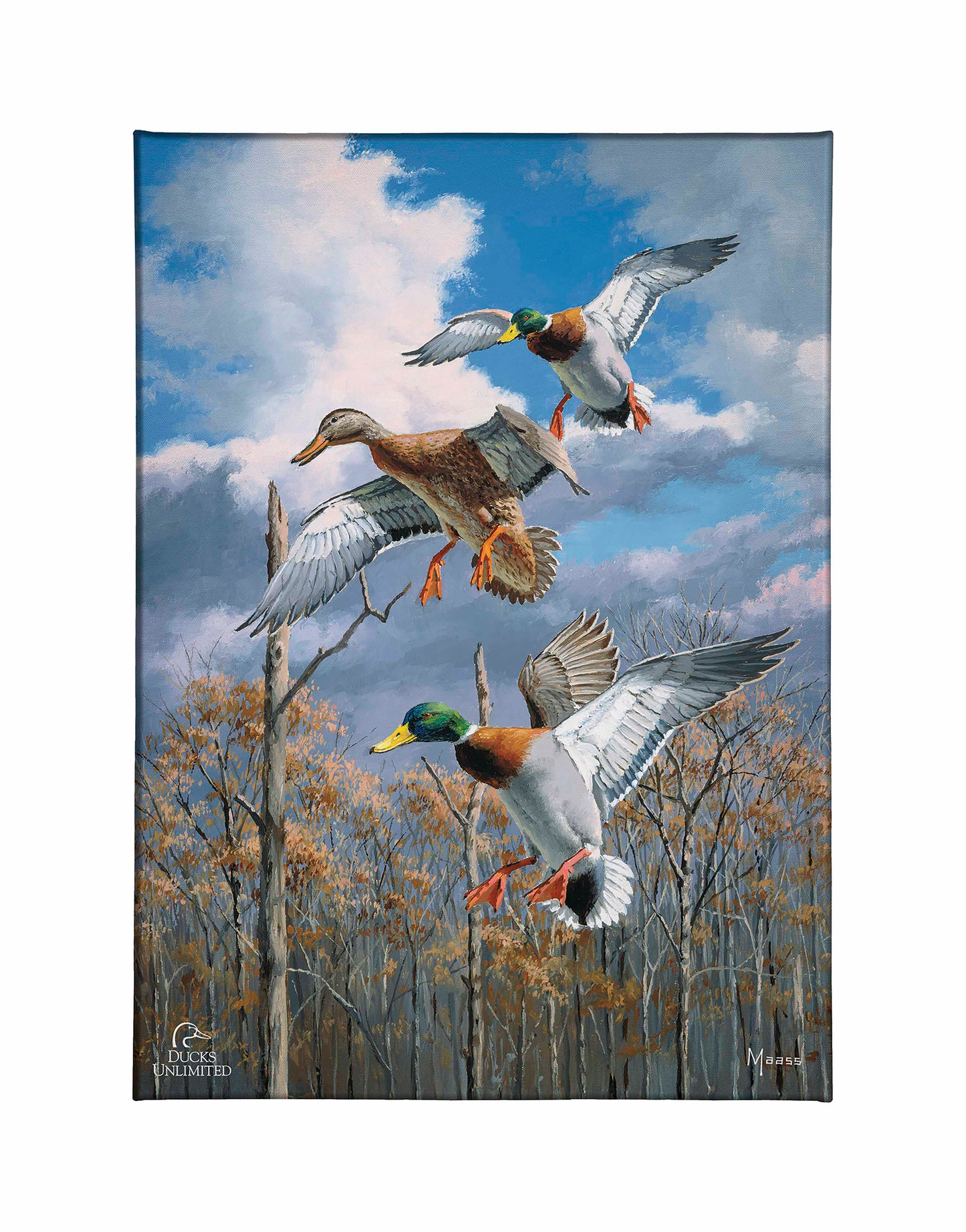 Descending Trio - Mallards Gallery Wrapped Canvas - Official Ducks Unlimited Art
