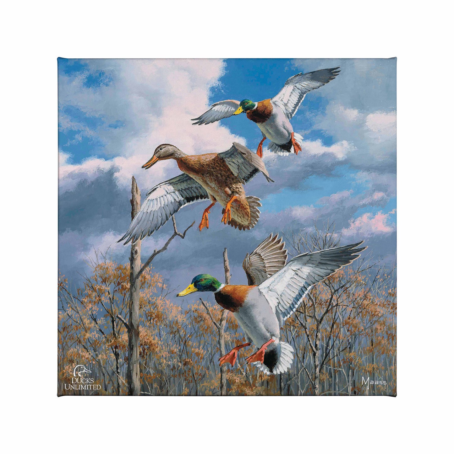 Descending Trio - Mallards Gallery Wrapped Canvas - Official Ducks Unlimited Art