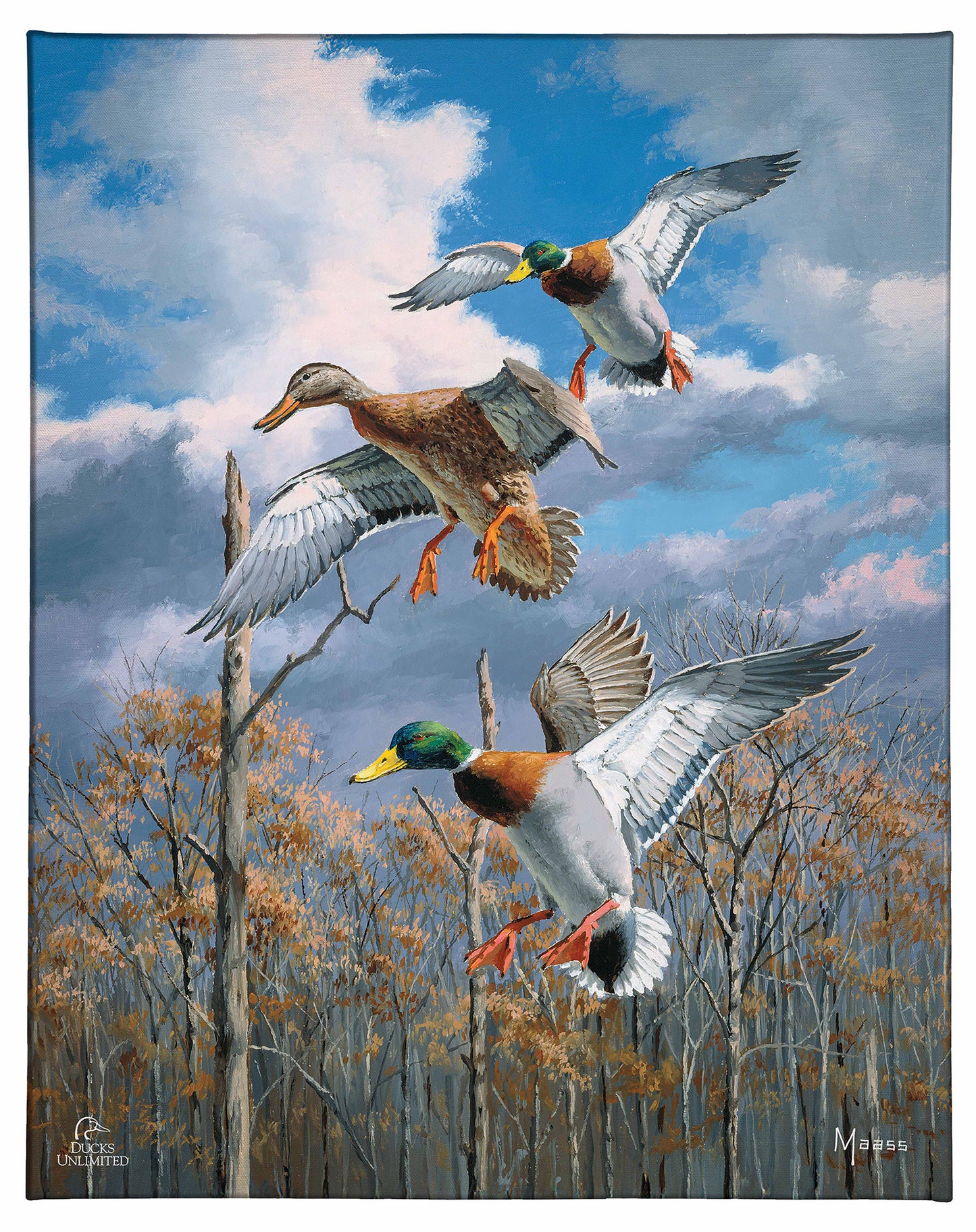Descending Trio - Mallards Gallery Wrapped Canvas - Official Ducks Unlimited Art