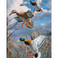 Descending Trio - Mallards Gallery Wrapped Canvas - Official Ducks Unlimited Art