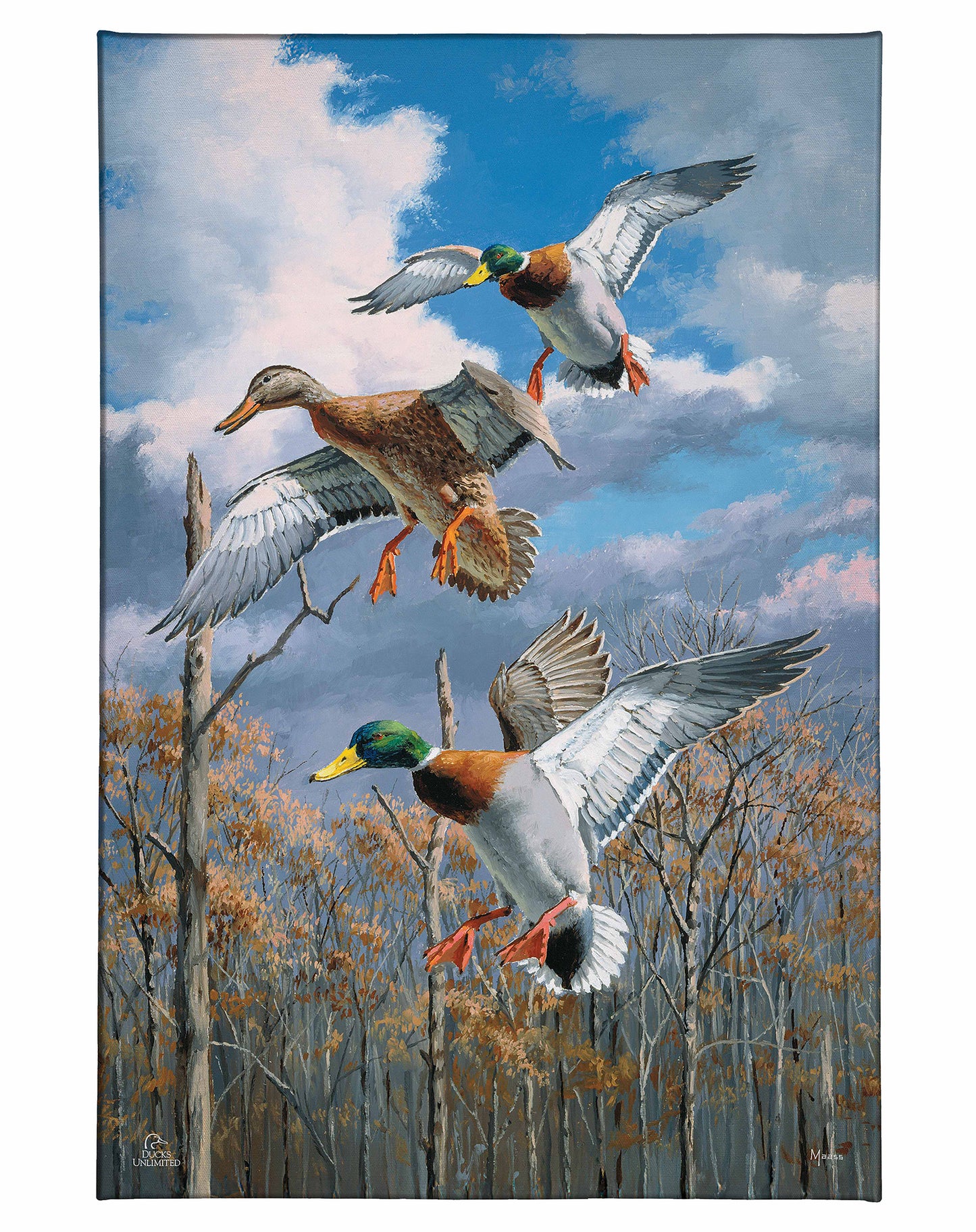 Descending Trio - Mallards Gallery Wrapped Canvas - Official Ducks Unlimited Art