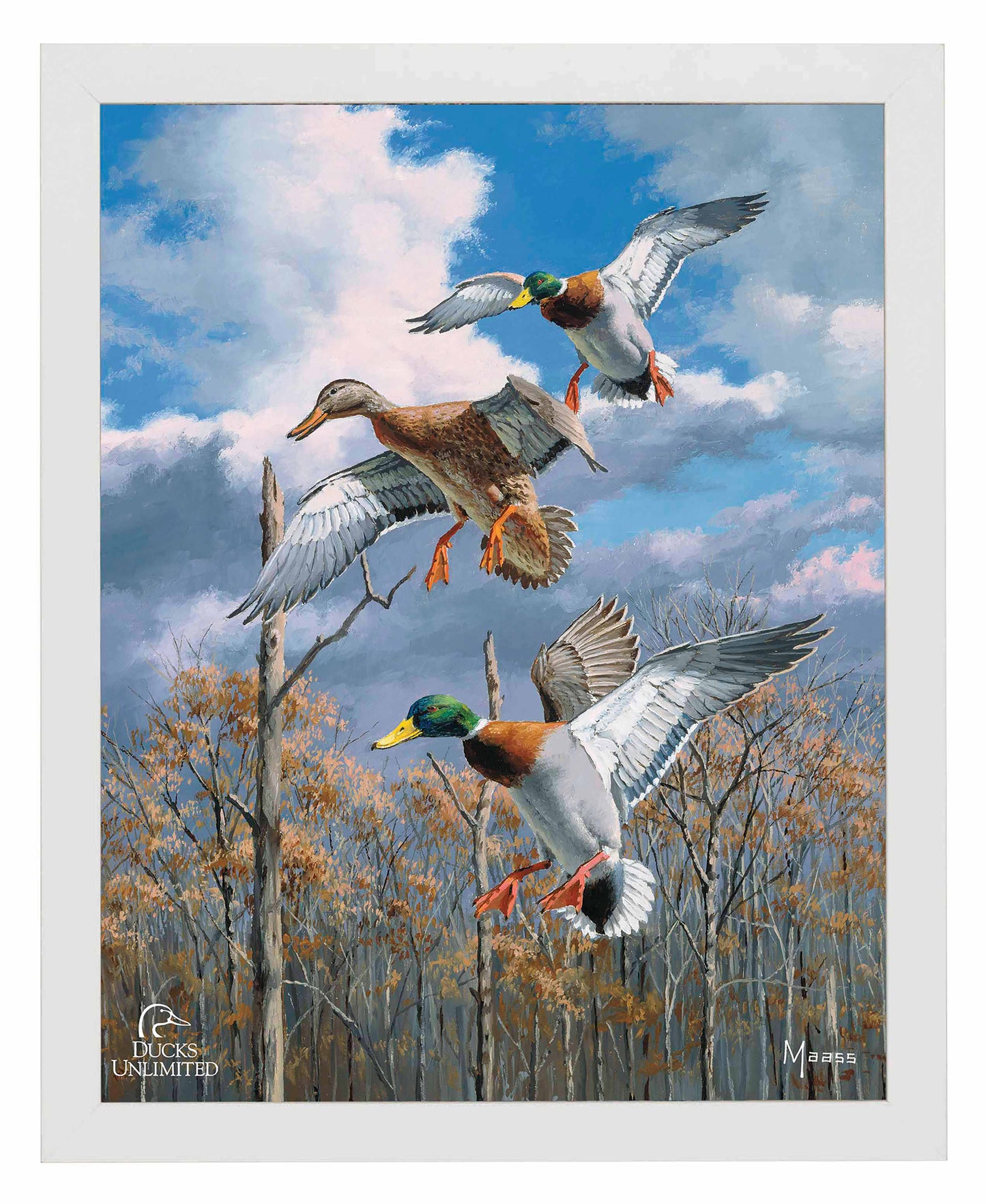 Descending Trio Mallards Art Prints - Official Ducks Unlimited Art