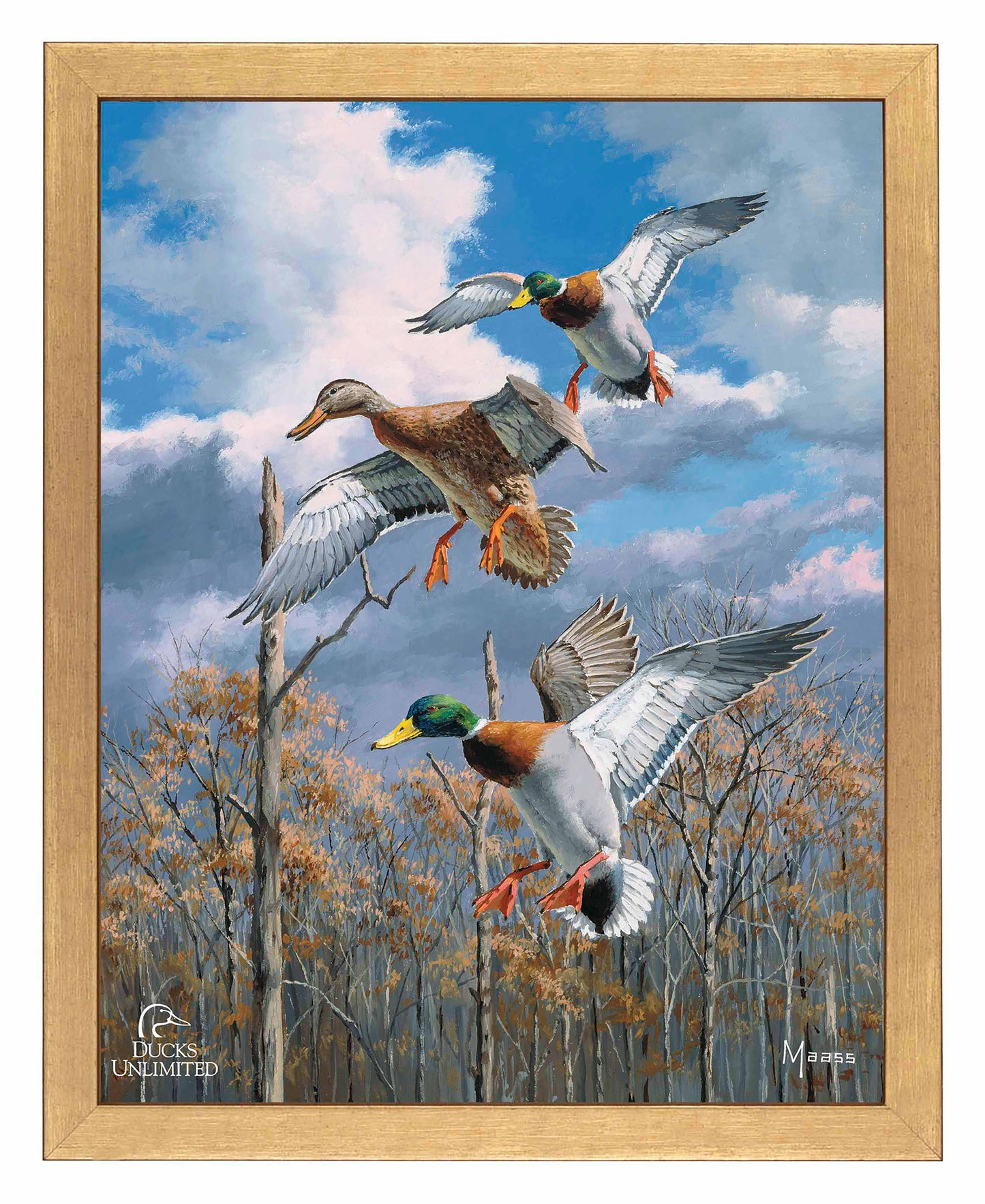 Descending Trio Mallards Art Prints - Official Ducks Unlimited Art